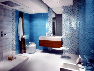 tiles frameless shower door new york