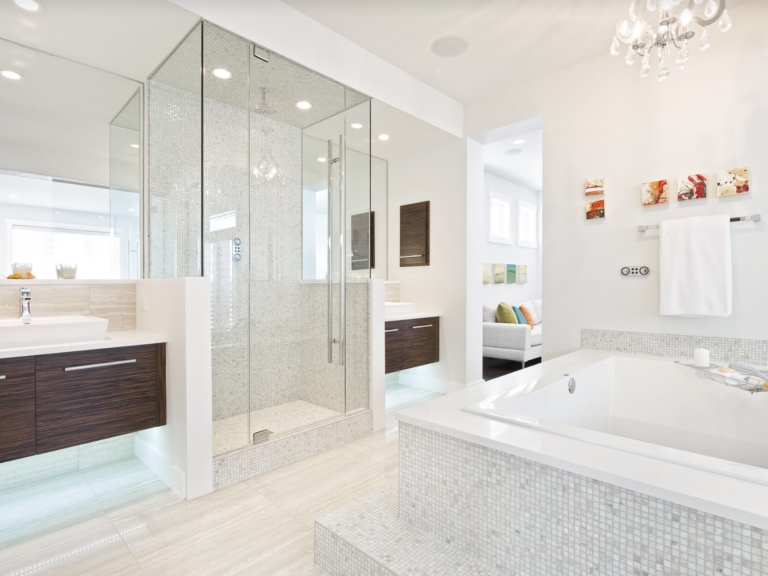 Frameless Shower Doors